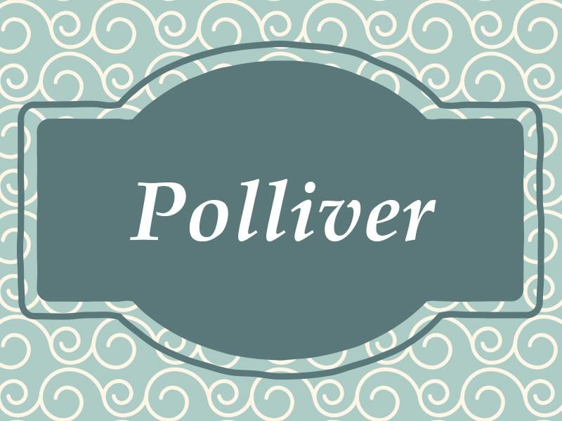 Polliver