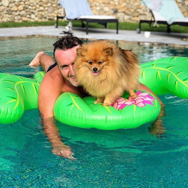 Pomeranian in pool