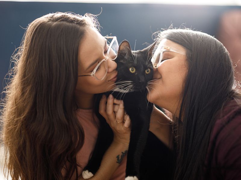 Portrait of black cat between two young women