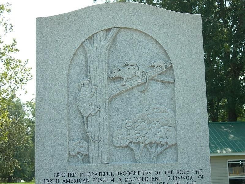 Possum Memorial in Wausau, Florida