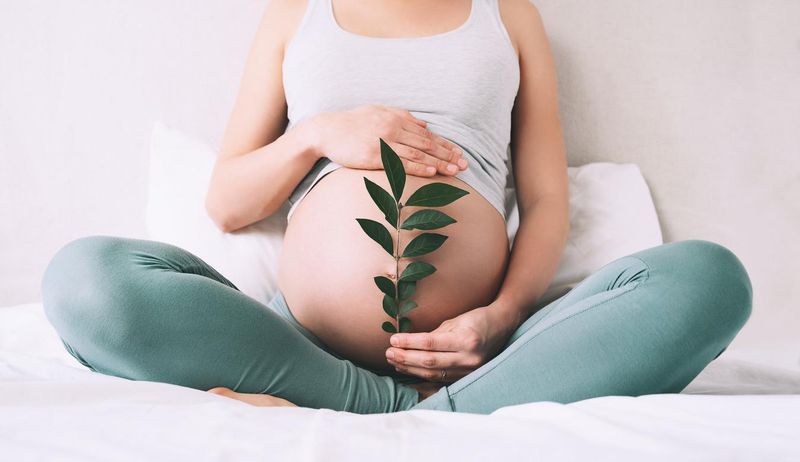 Pregnant woman holding a sprout, representing a lotus birth