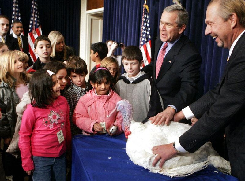 President Bush pets the national Thanksgiving turkey Marshmallow