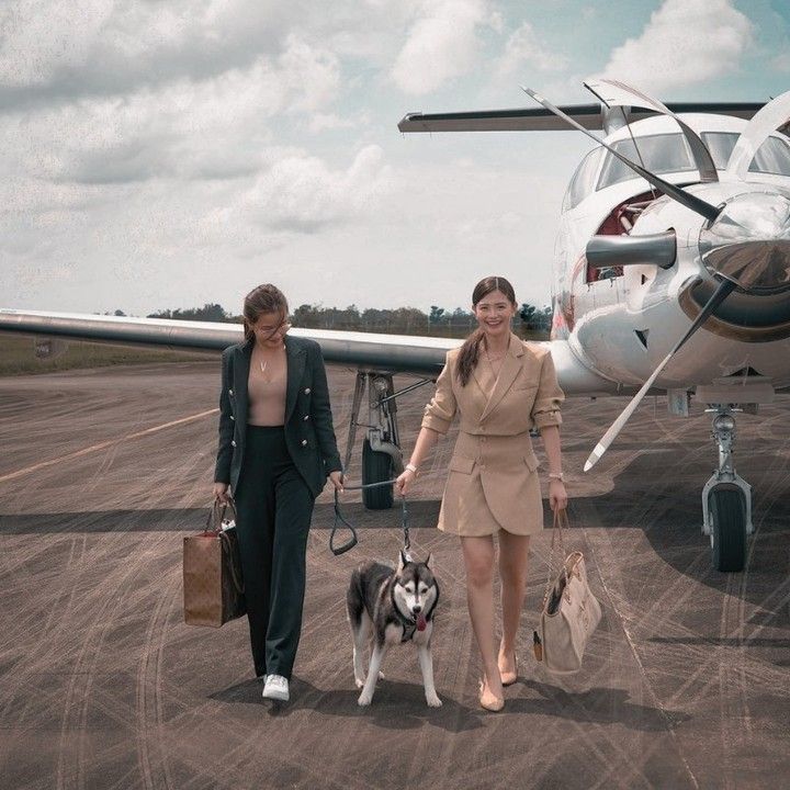 Private travel with dog