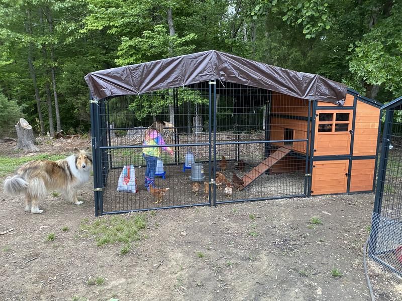 Tractor Supply Chicken Coops We'd Want If We Were Chickens Always Pets