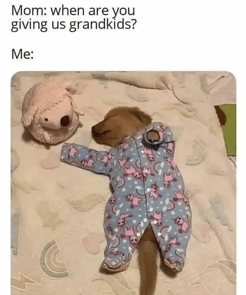 Puppy in baby clothes meme