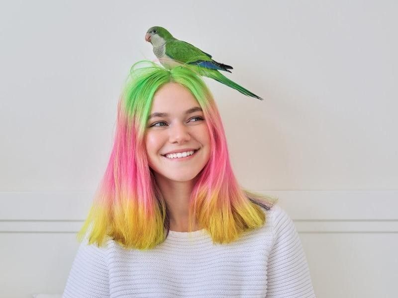 Quaker parrot on a person's head