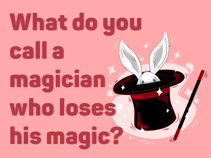 Rabbit in magic hat
