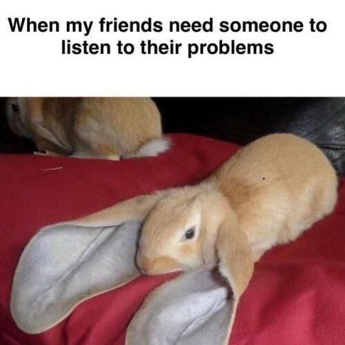 Rabbit with big ears