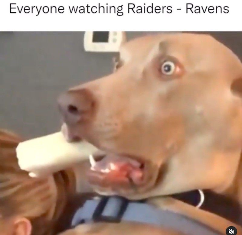 Raiders-Ravens meme