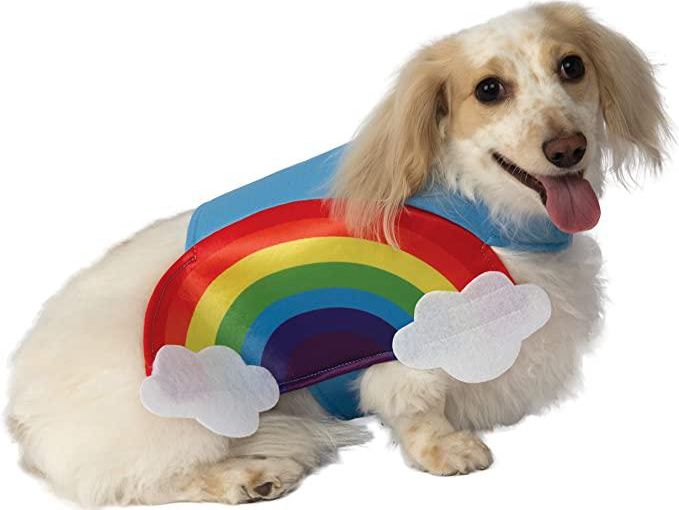 rainbow dog costume