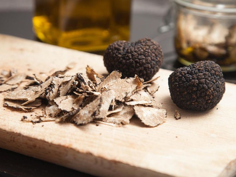 Rare black truffle mushroom