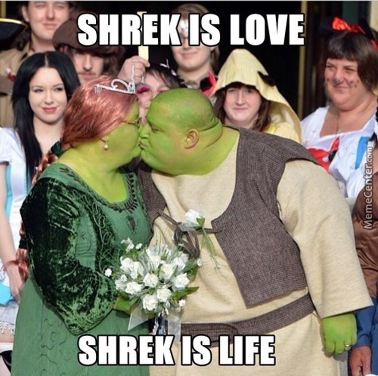 Real Shrek Marriage