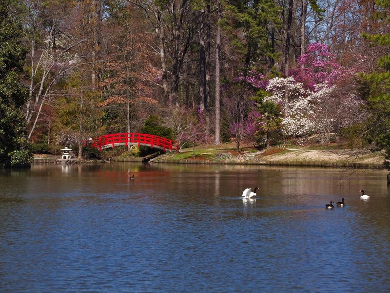 Red bridge in japanese garden