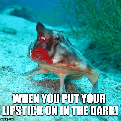Red lipped fish meme