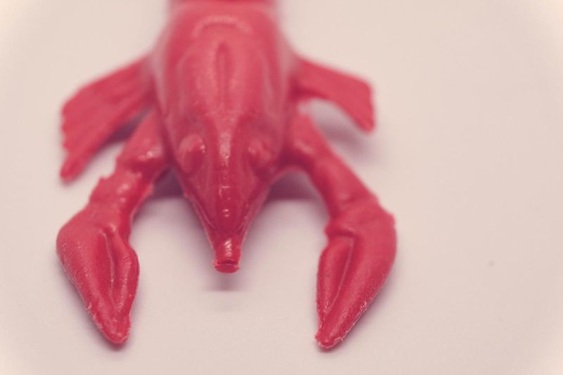 Red Lobster Plastic Toy Close-Up Front View