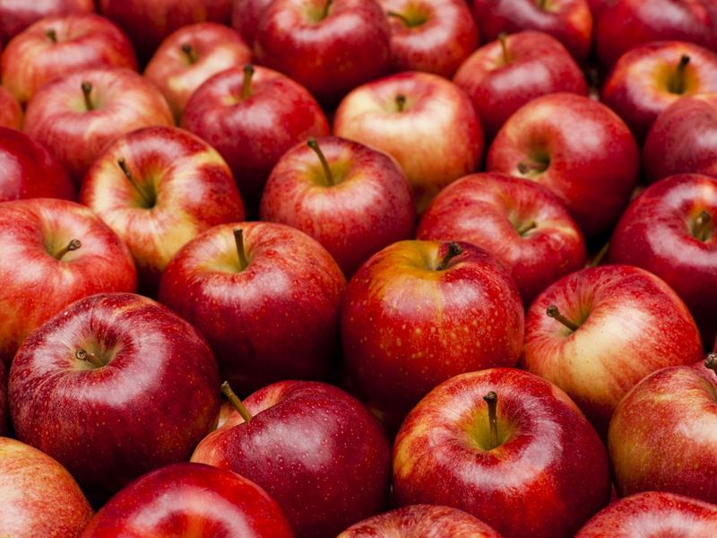 Red royal gala apples