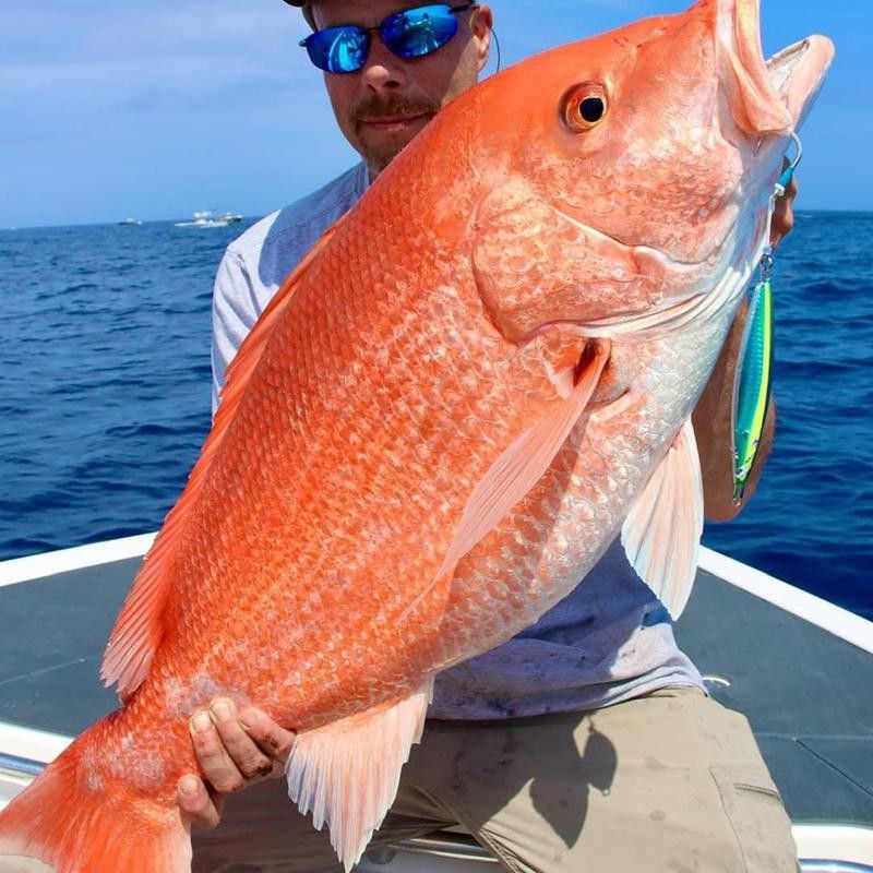 Red snapper fishing in the ocean
