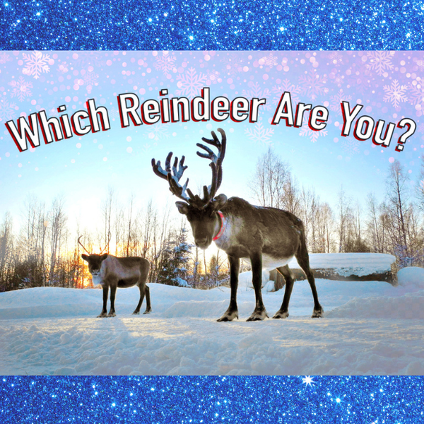Based on Your Personality, Which of Santa’s Reindeer Are You?