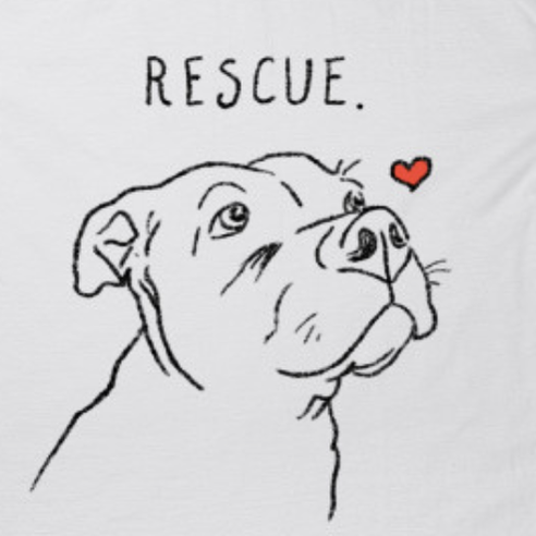 Rescue pit bull with a heart