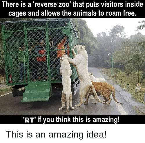 Reverse zoo idea
