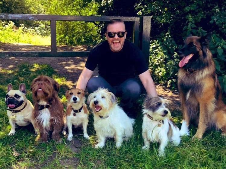 Ricky Gervais and dogs