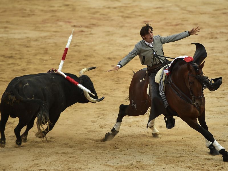 Roberto Armendariz reacts during bullfight