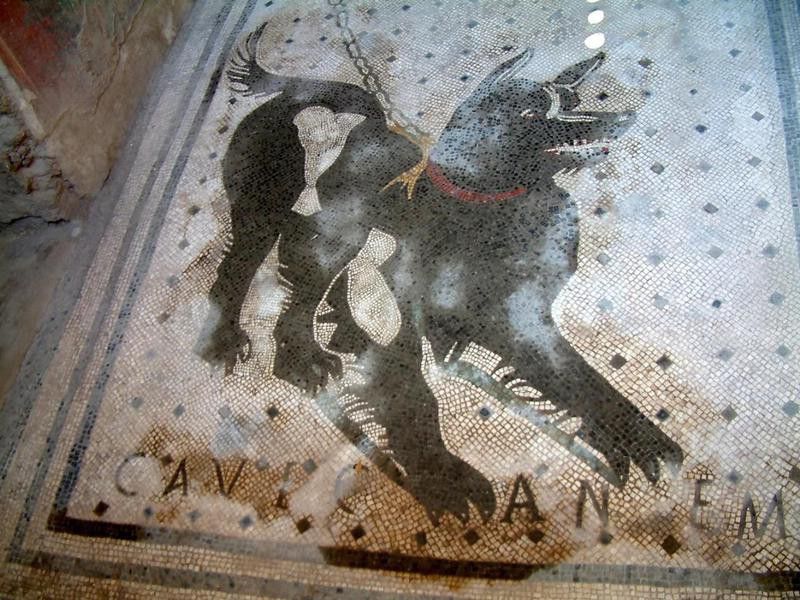 Roman dog sign