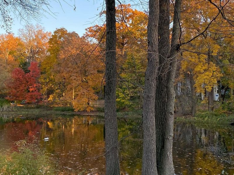 Roslyn Estates park in the fall