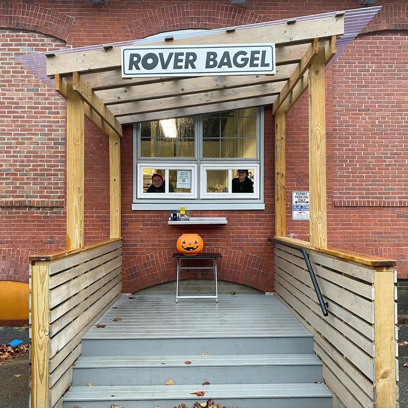 Rover Bagel