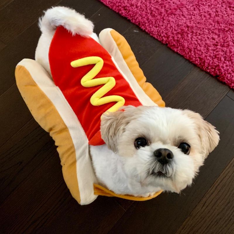 Rubie's Hot Dog Pet Costume