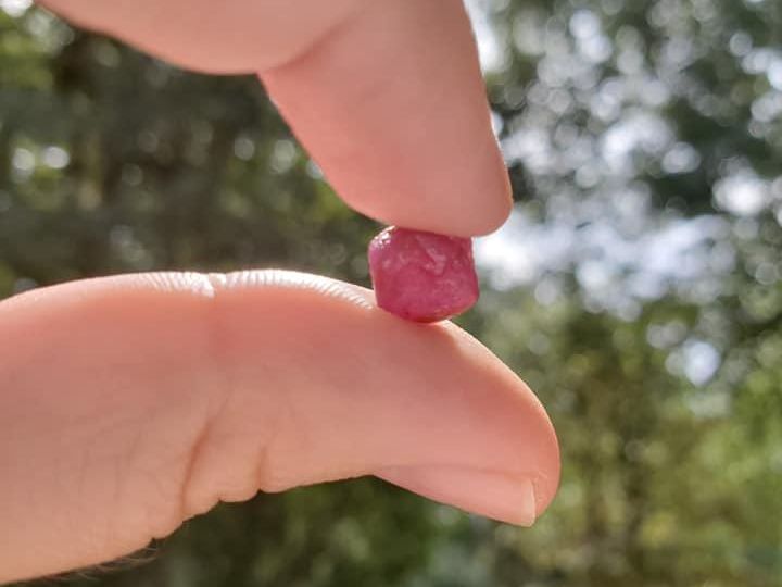 Ruby found at Cherokee Ruby and Sapphire Mine