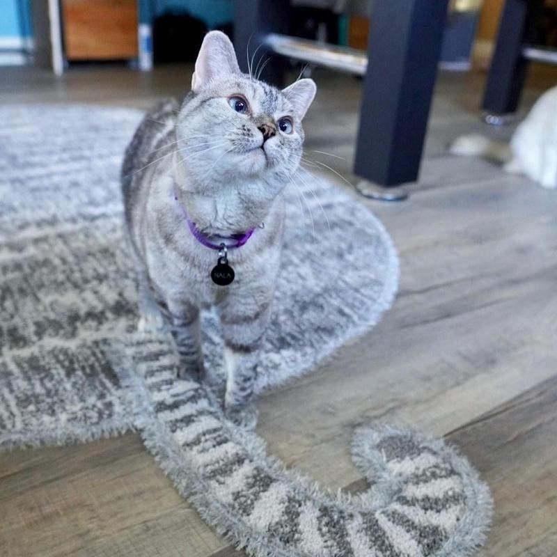 Rug with a cat tail