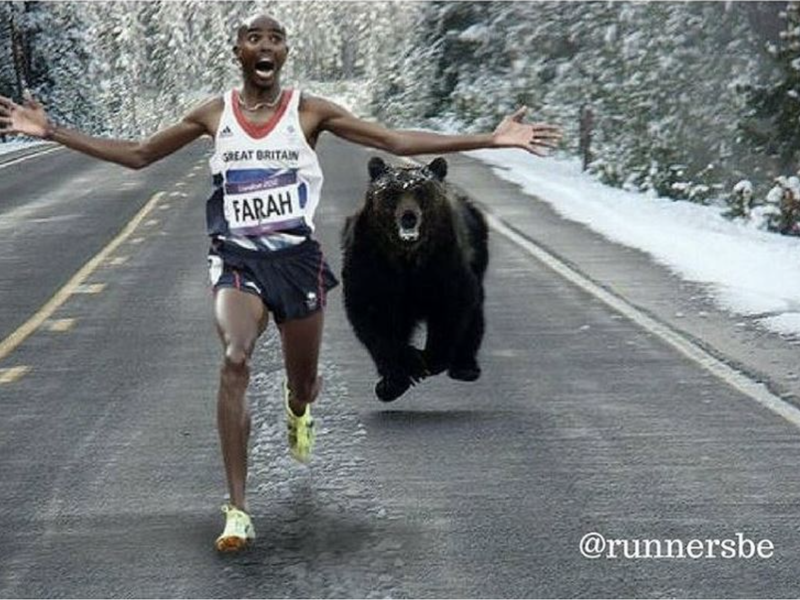 Runner running away from a bear meme