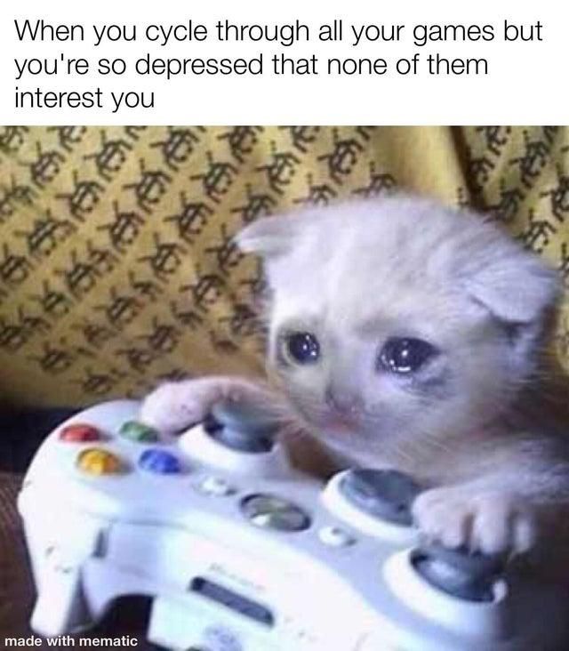 Sad cat playing video games
