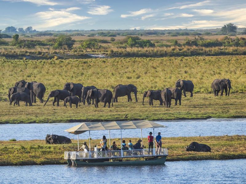 Safari tourists in a boat watching a herd of elephants in Chobe, Botswana