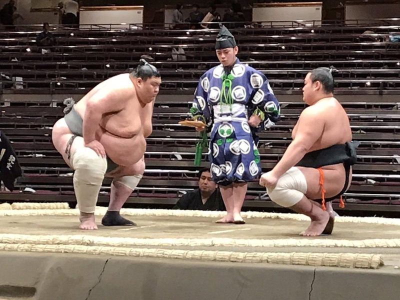 Sakaefuji weighs over 500 pounds