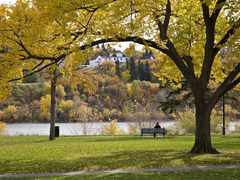 Saskatoon Autumn Park