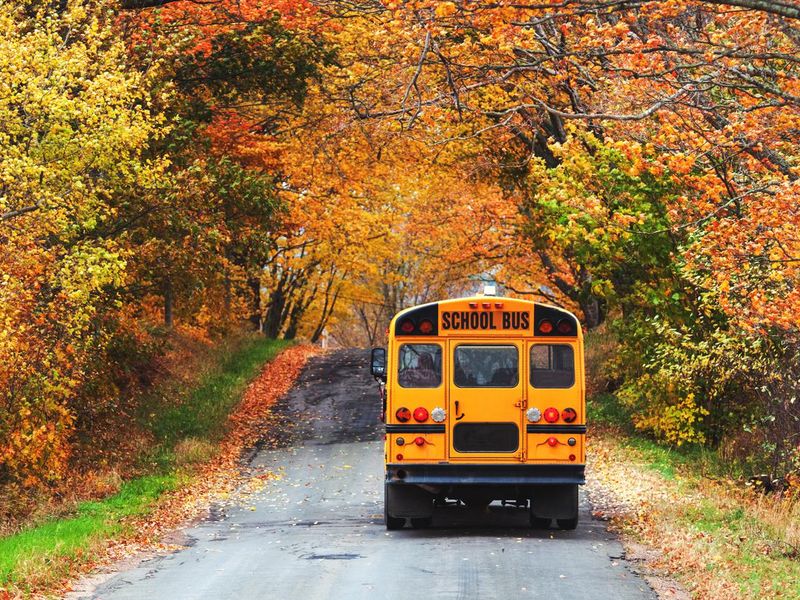 School bus in autumn