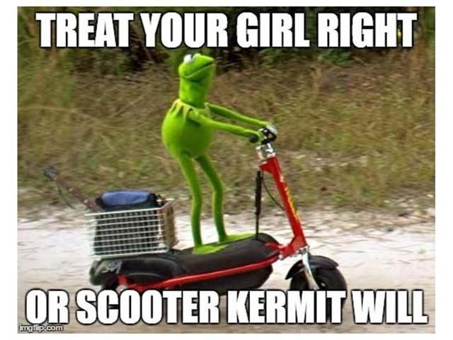 Scooter kermit