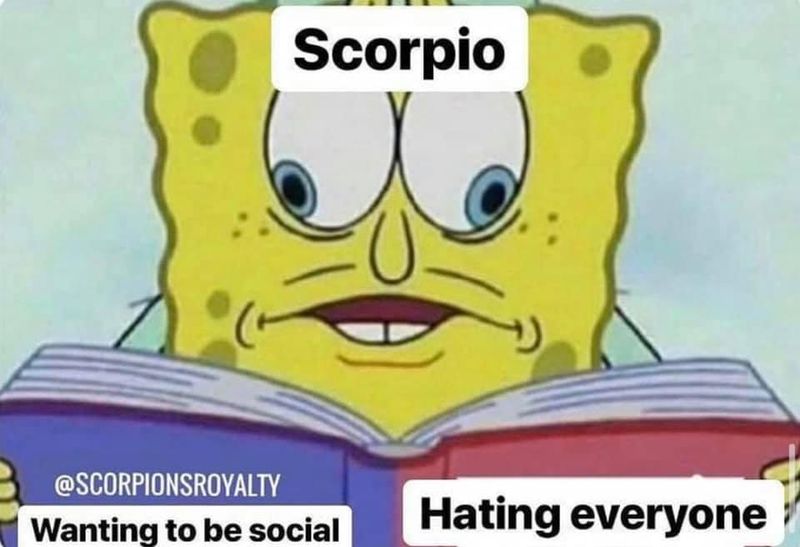 Scorpio decision meme