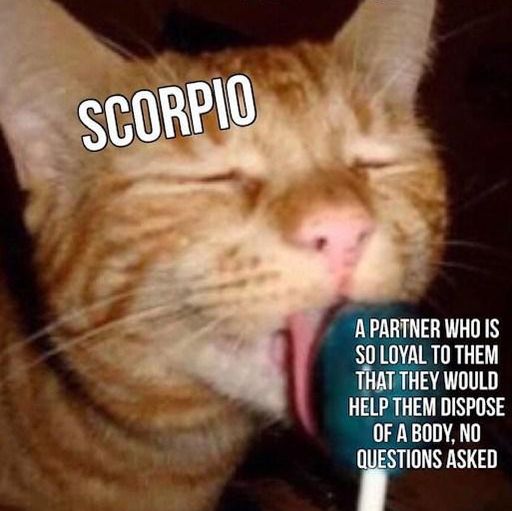 Scorpio loyalty meme