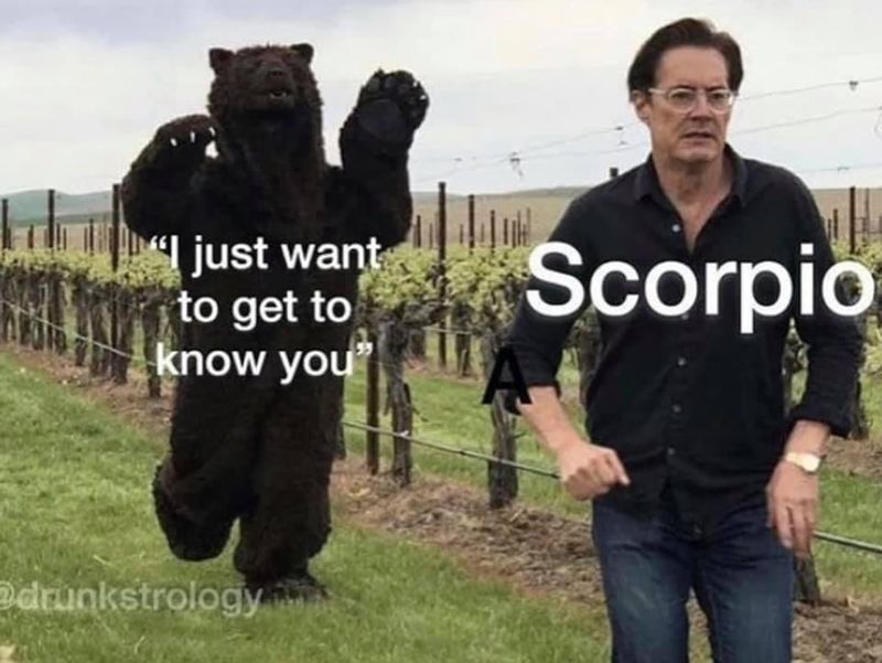 Scorpio running meme