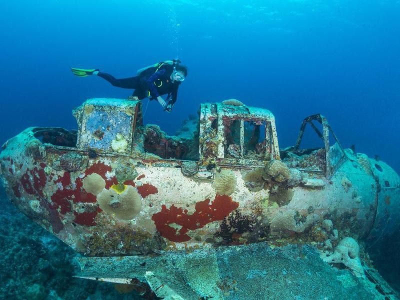 Scuba diving in Palau