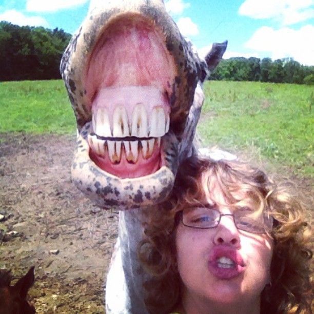 Selfie With a Boy and His Smiling Horse
