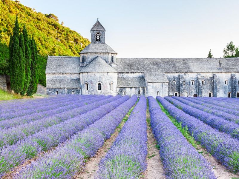 Senanque Abbey (Abbaye Notre-Dame de Senanque in Provence)