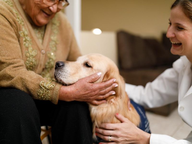 Senior woman and caregiver with therapy dog at home