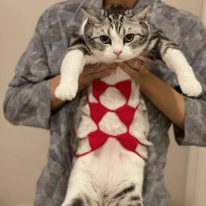 ShanJieXing Pet Cat Bikini Costume