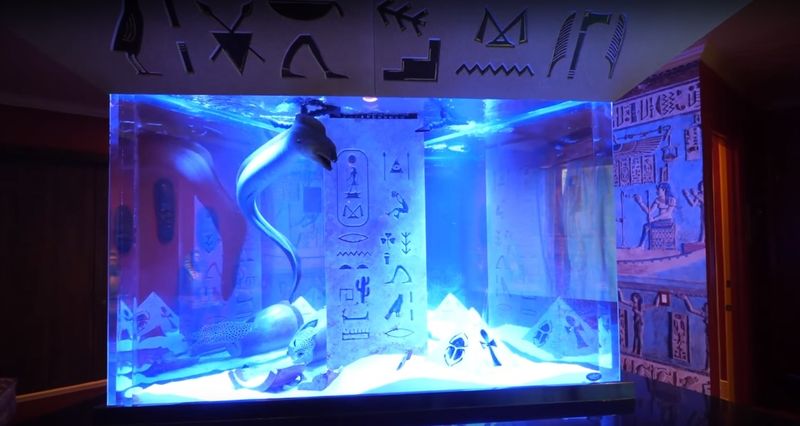 Shaq's aquarium