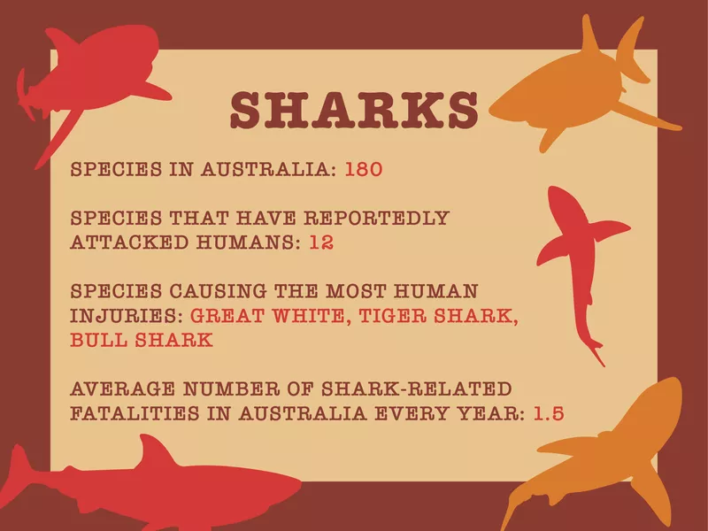 Proof Australia Has the World's Scariest Animals | Far & Wide