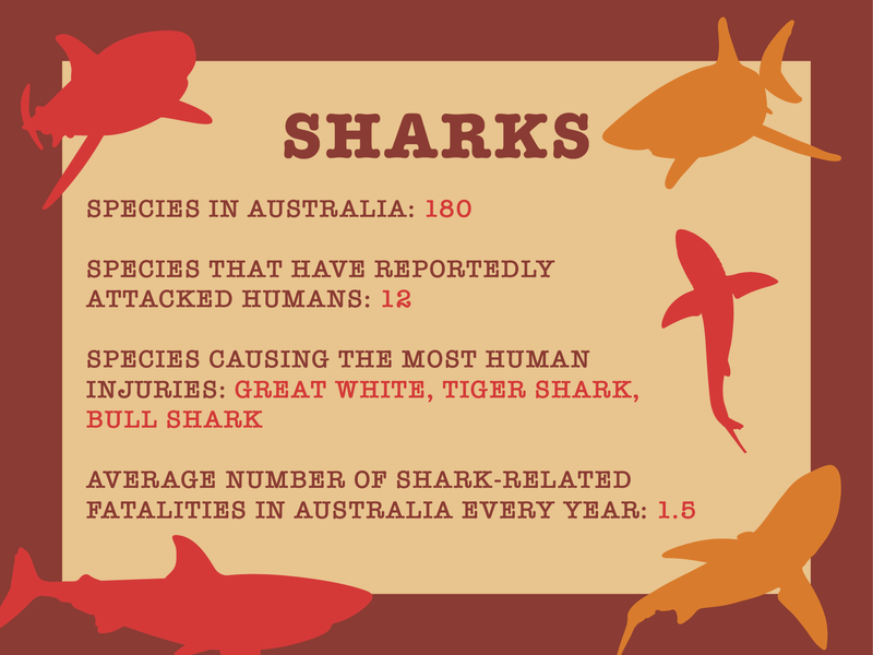 Shark facts